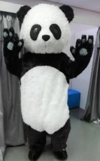 Panda Mascot